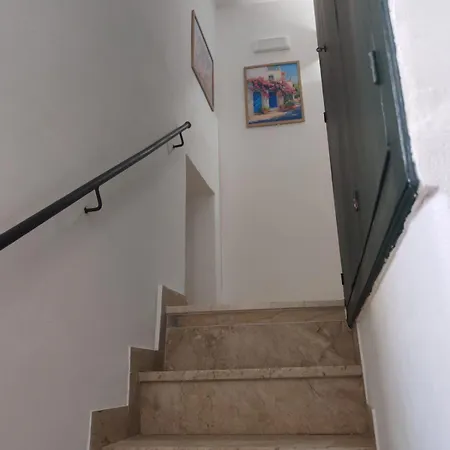 Vanni 94 *