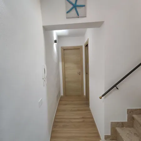 Vanni 94 *